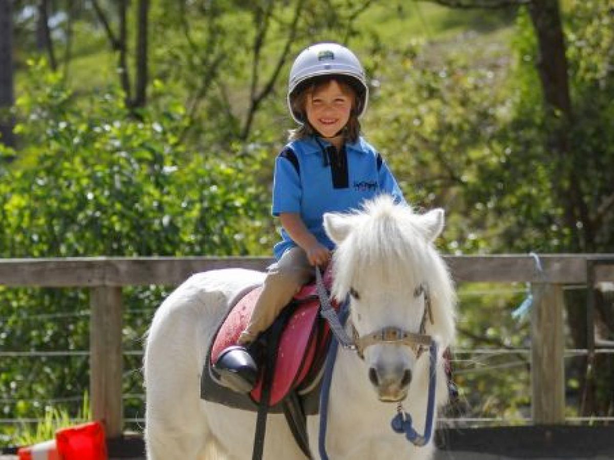 a person riding a horse