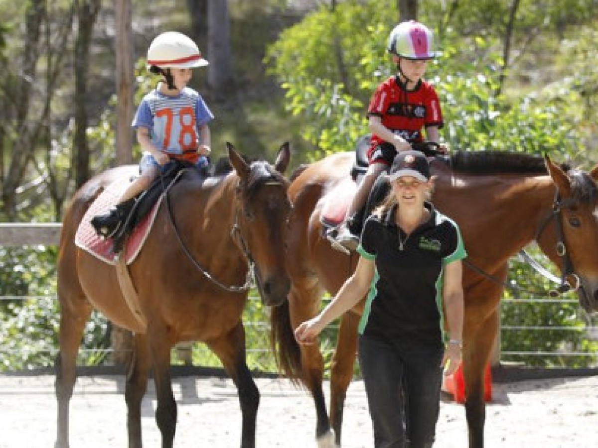 a couple of people riding on the back of a brown horse