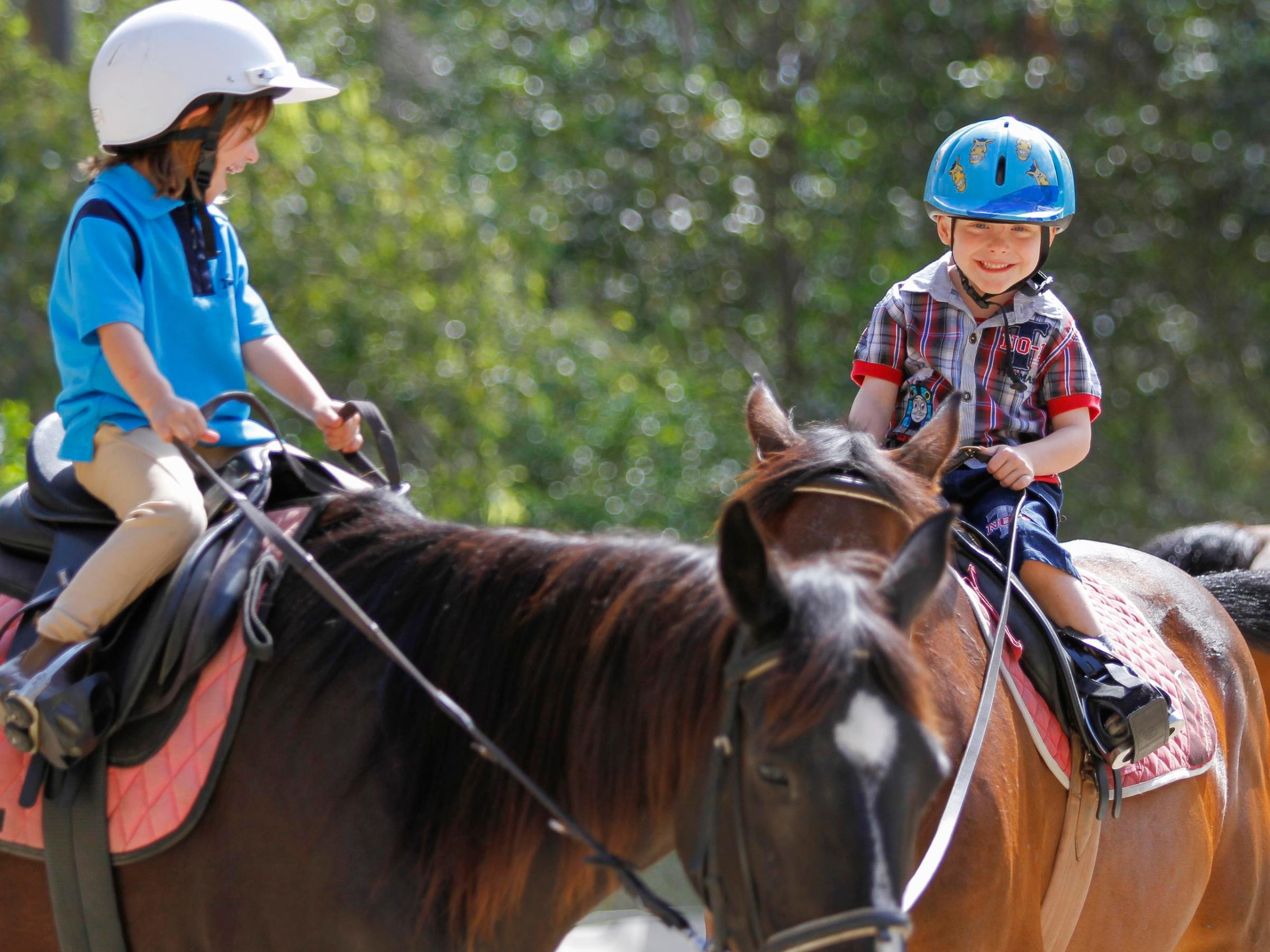 Giddy Up Beginner Books