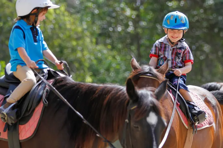 Giddy Up Beginner Books