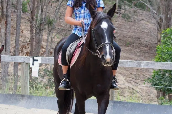 a person riding on the back of a brown horse