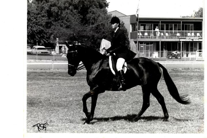 a person riding a horse