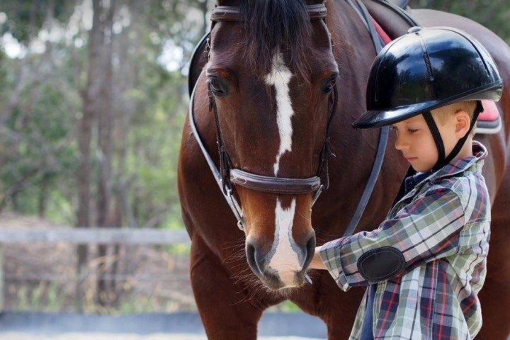 a young boy riding a horse