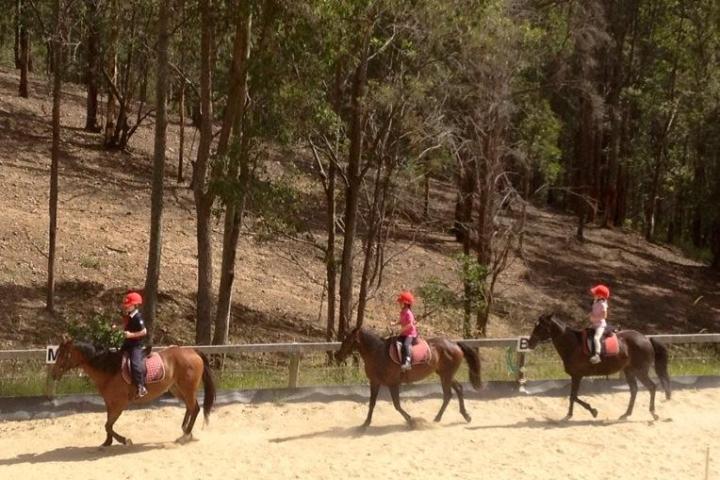 a group of people riding on the back of a horse