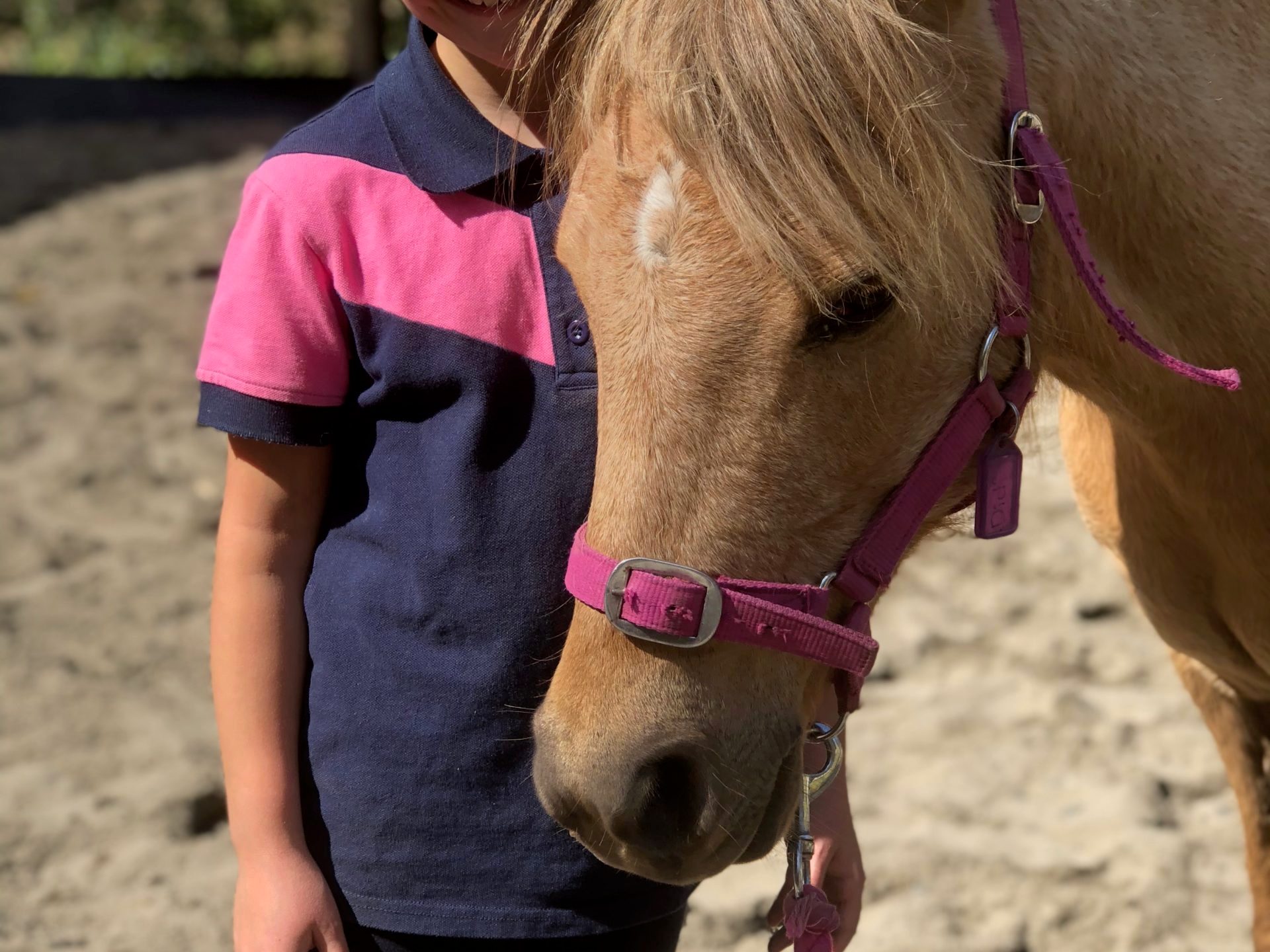 a little girl standing next to a horse