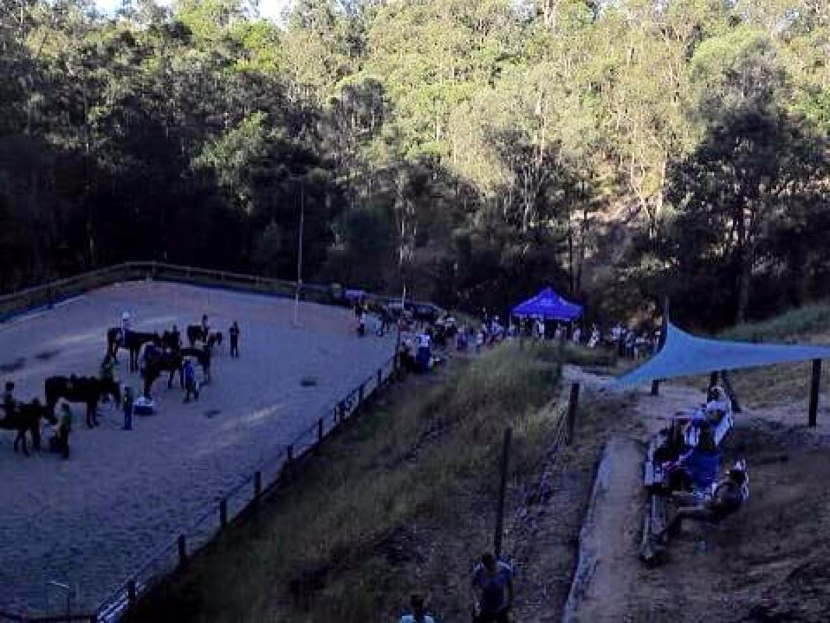 a group of people walking on a path