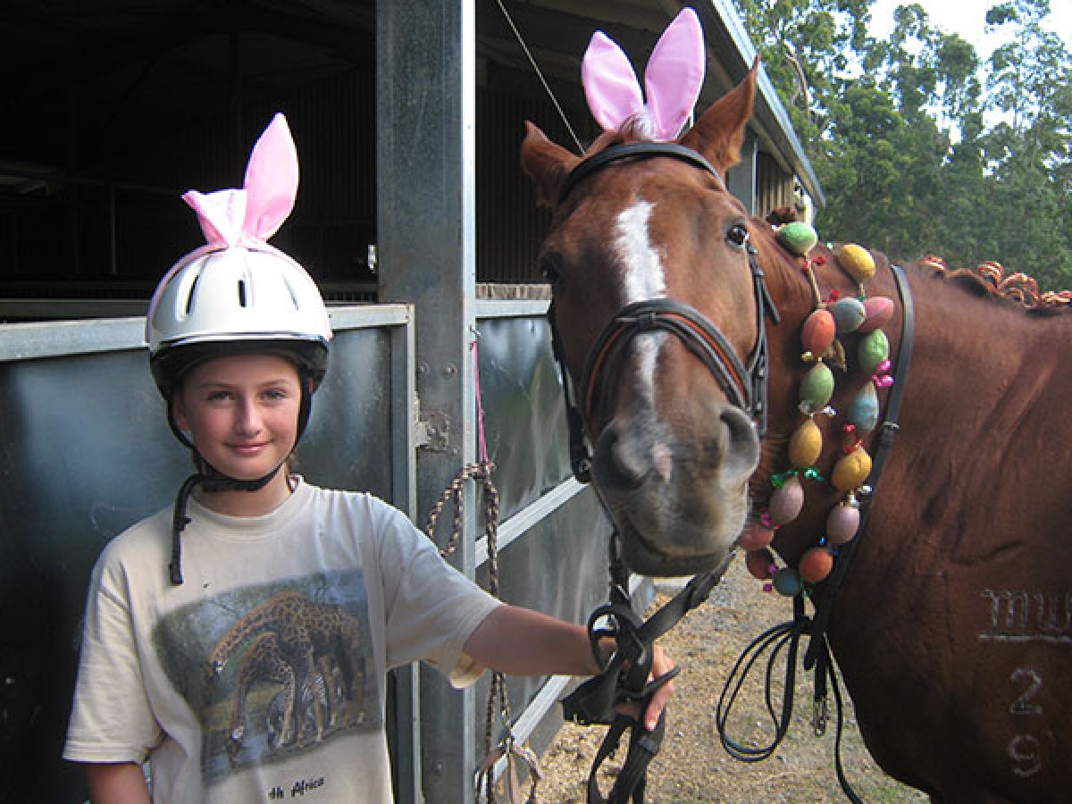 a person riding a horse