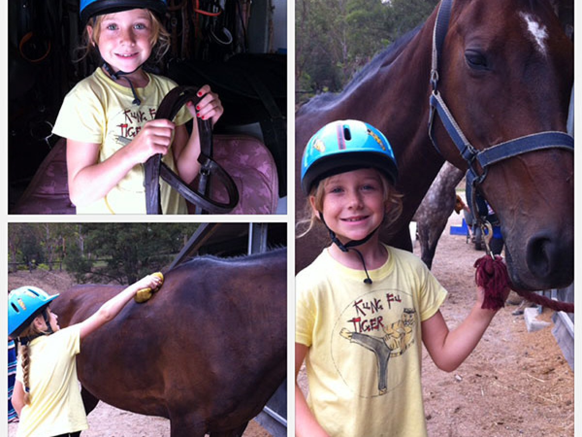 a small child is petting a horse