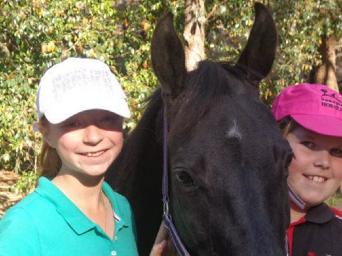 a group of people riding on the back of a horse