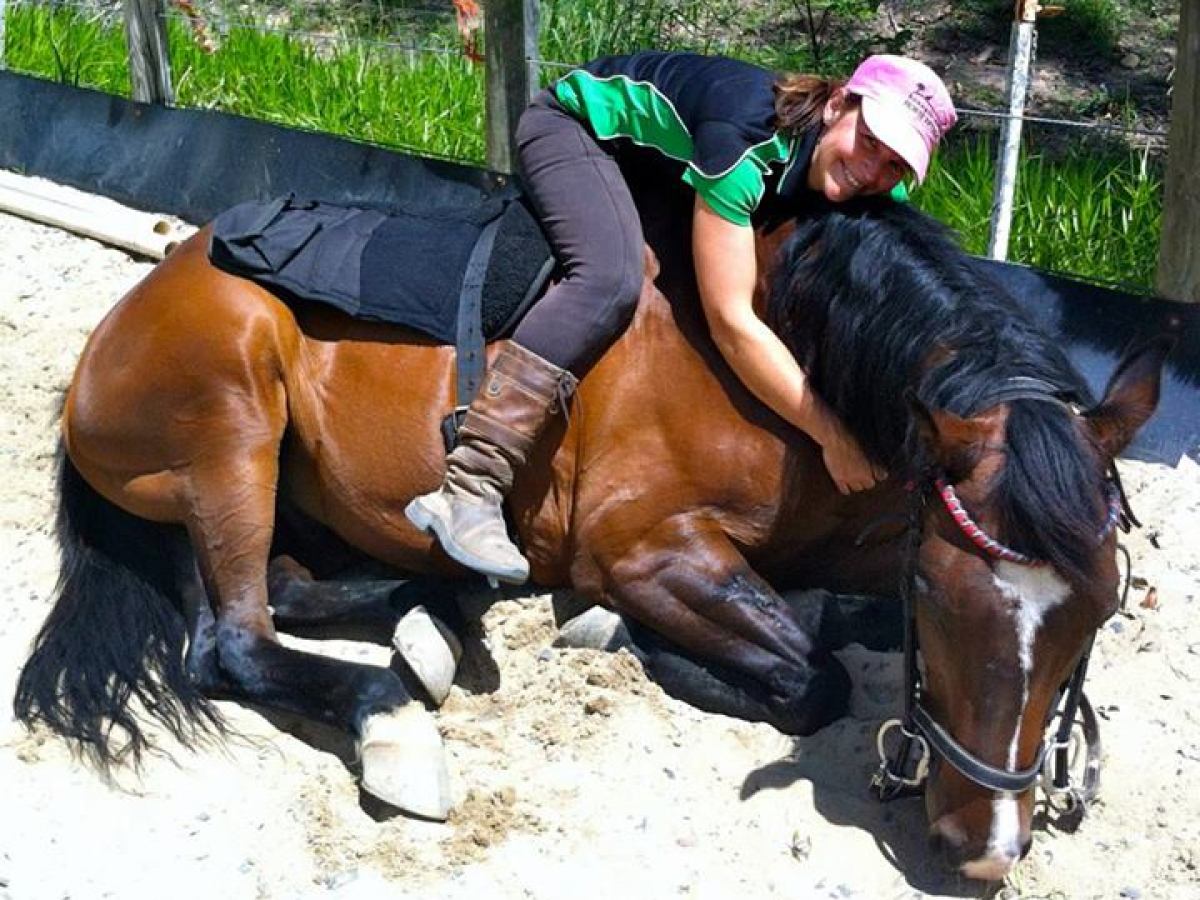 a person sitting on a horse