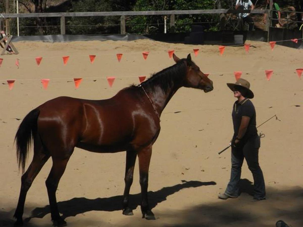 a man riding a horse