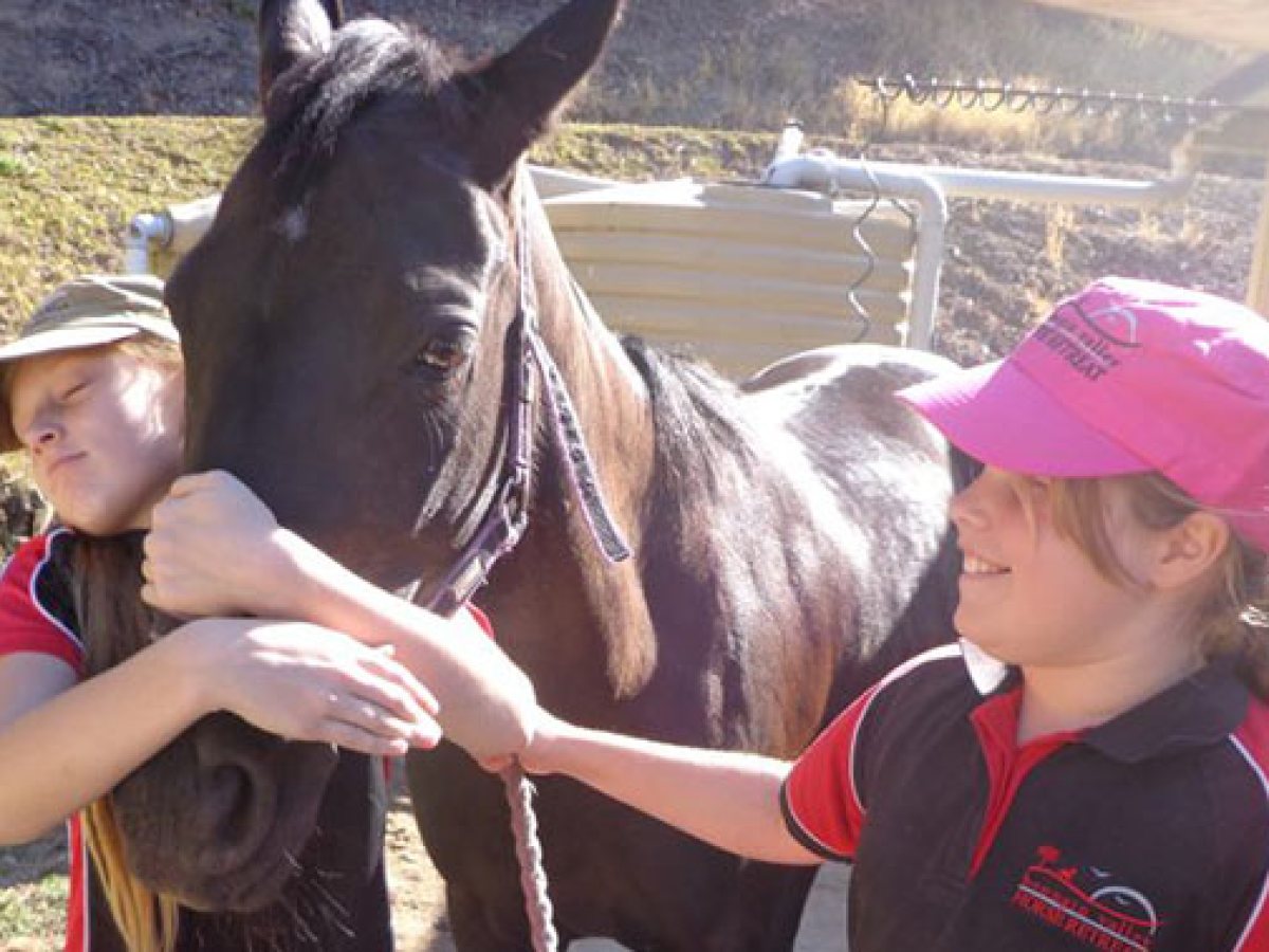 a little girl standing in front of a horse