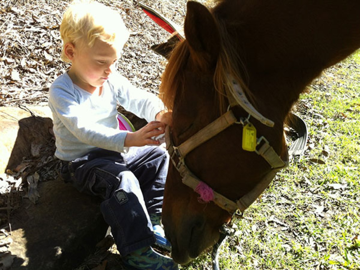 a small child sitting on a horse