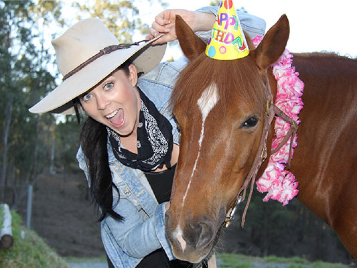 a person petting a brown horse
