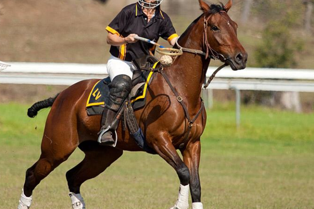 a man riding a horse
