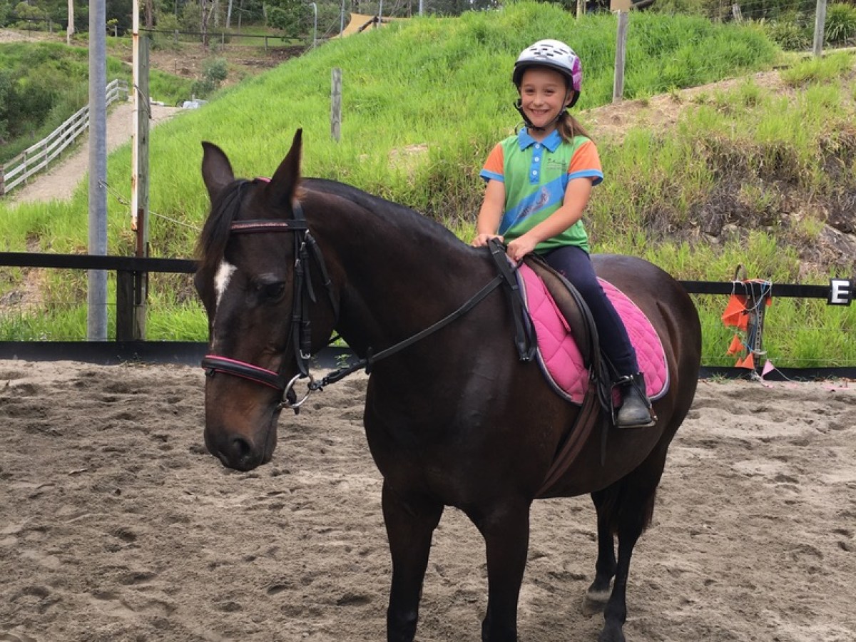 a person riding a horse
