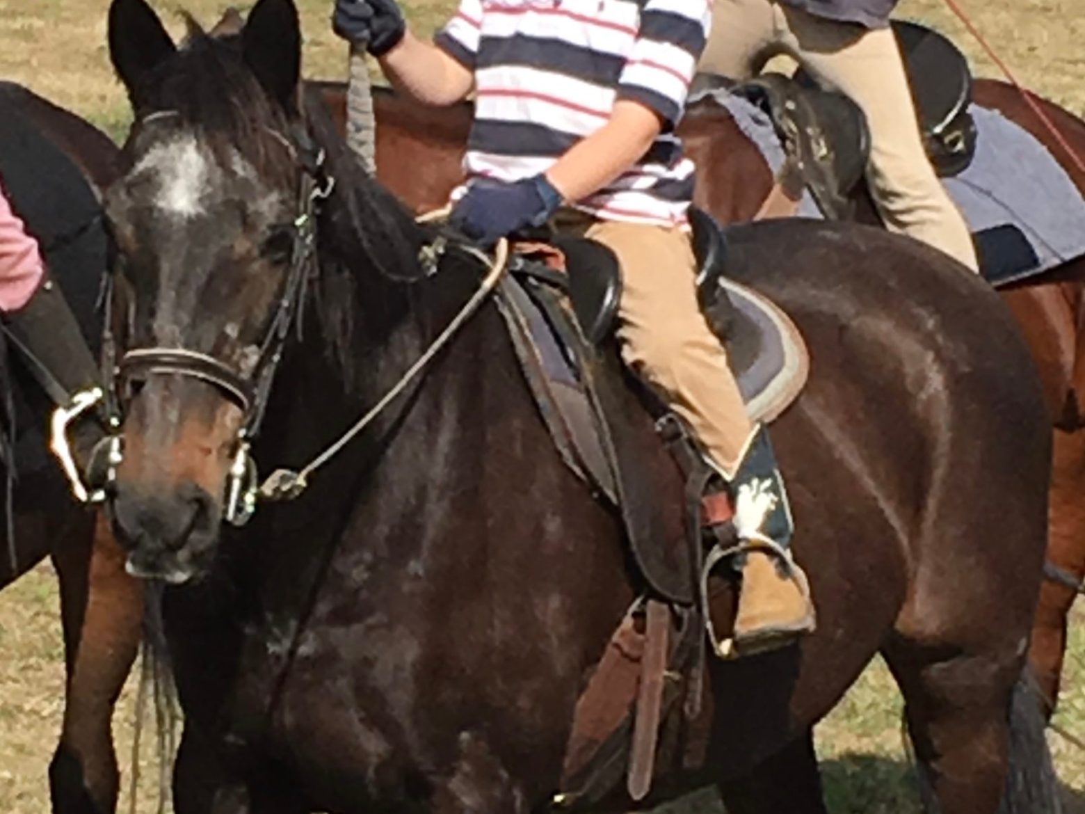 a couple of people riding on the back of a brown horse