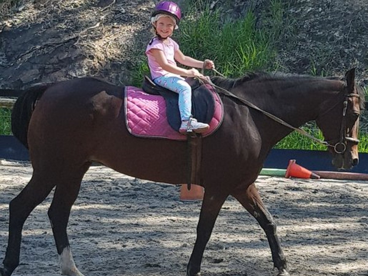 a person riding on the back of a brown horse