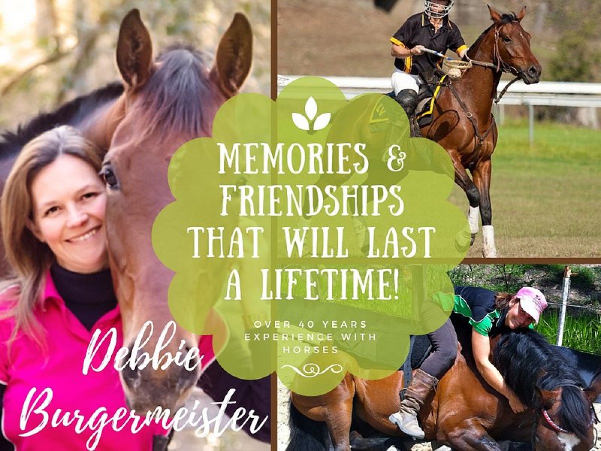 a person riding a horse