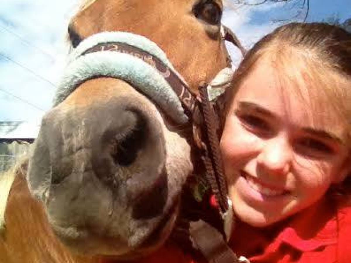 a close up of a girl petting a horse