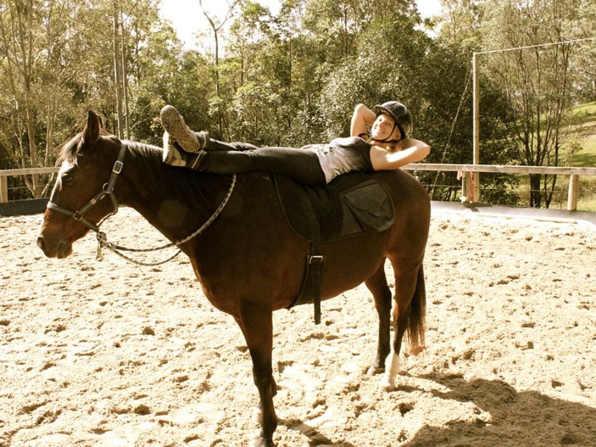 a person riding a horse