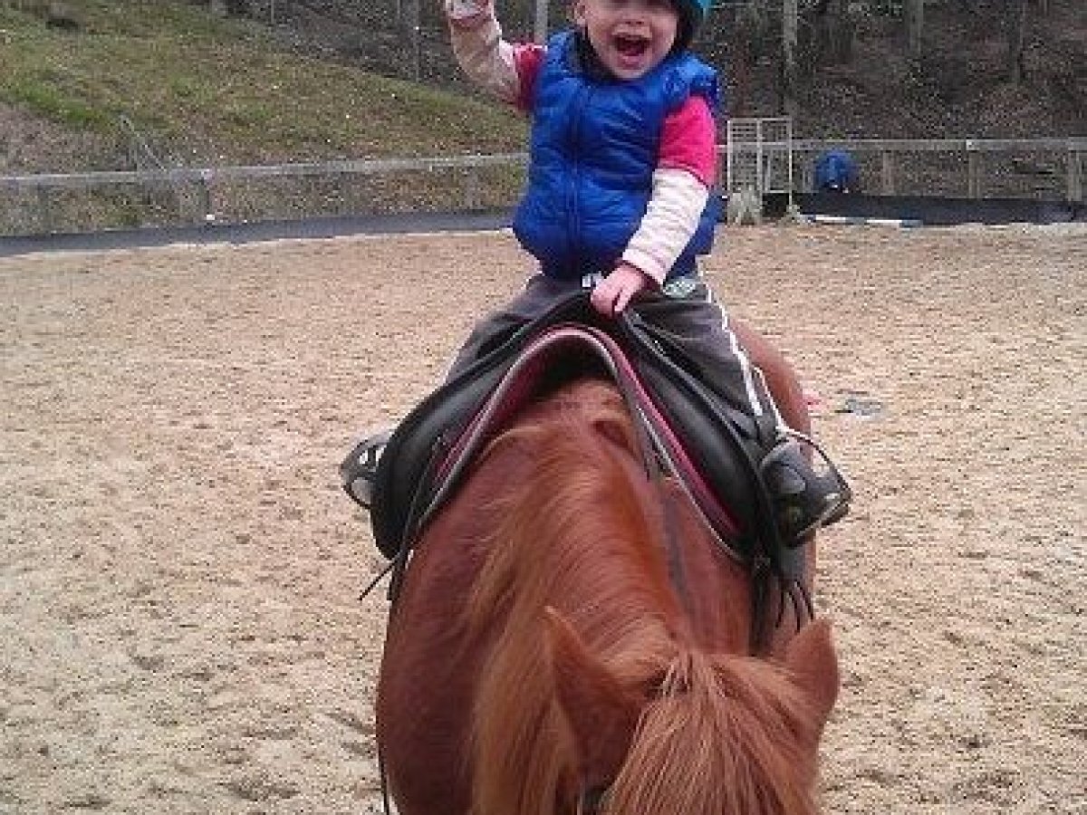 a person riding a horse in the dirt