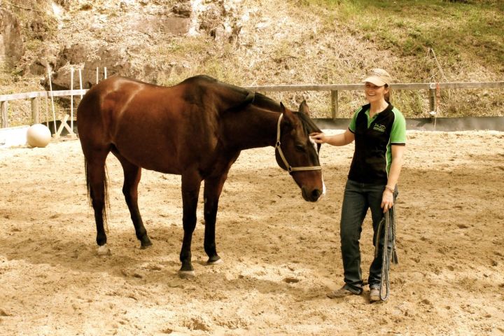 a brown horse standing next to a person