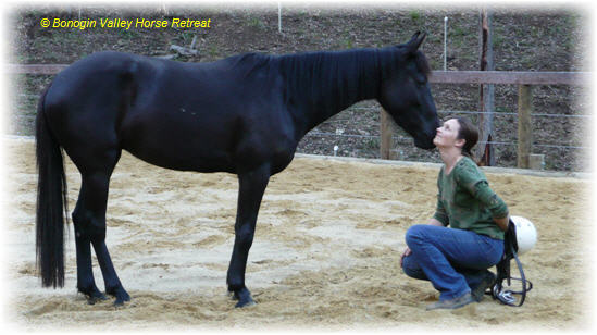 a brown horse standing next to a fence