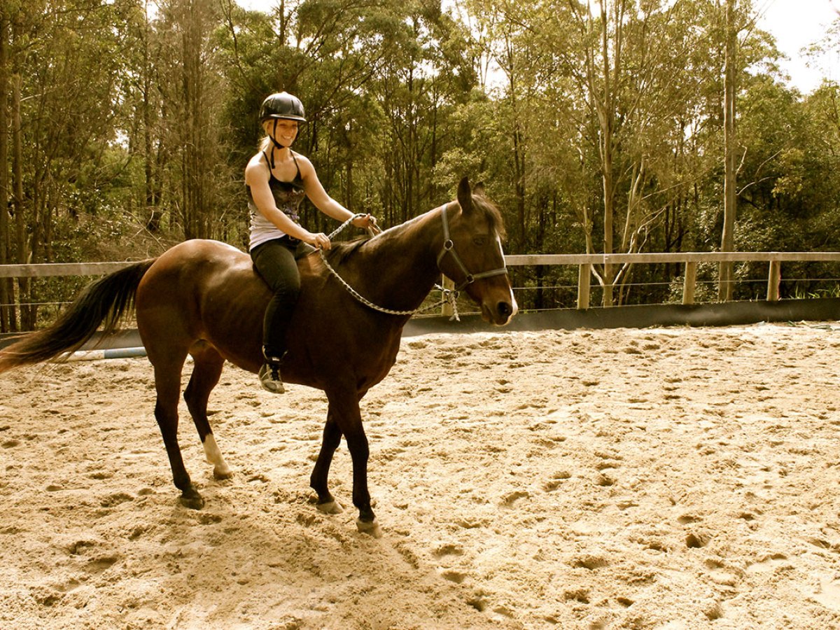 a man riding a horse