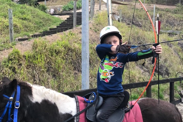 a small child is petting a horse