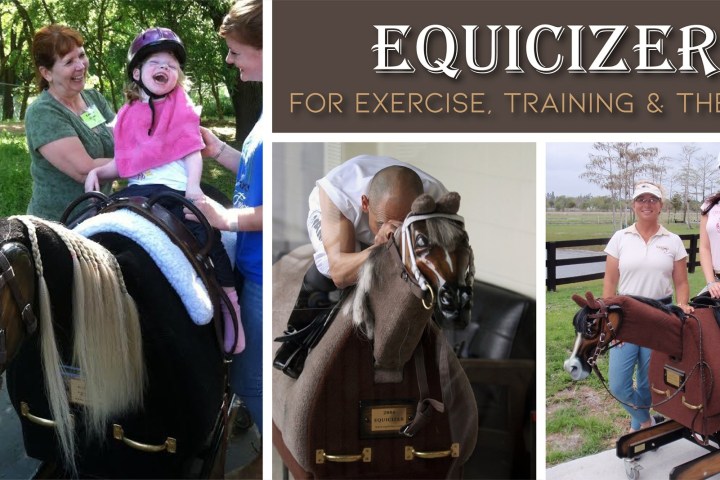 a person riding on the back of a horse