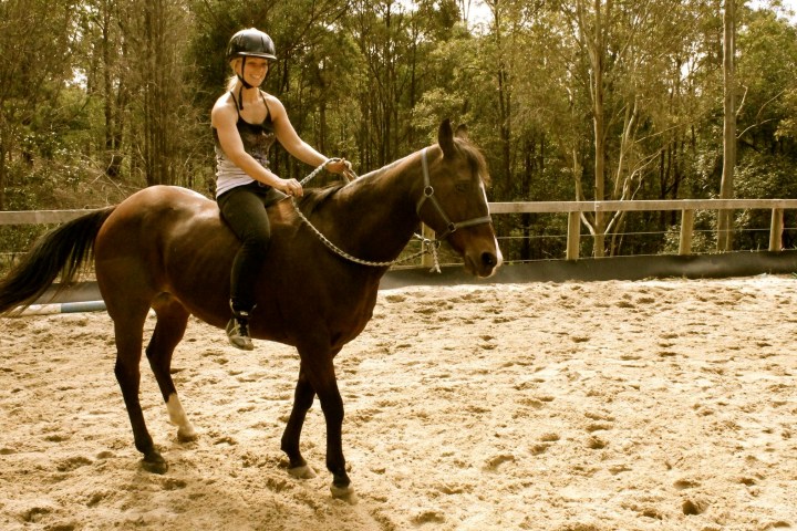 a person riding a horse