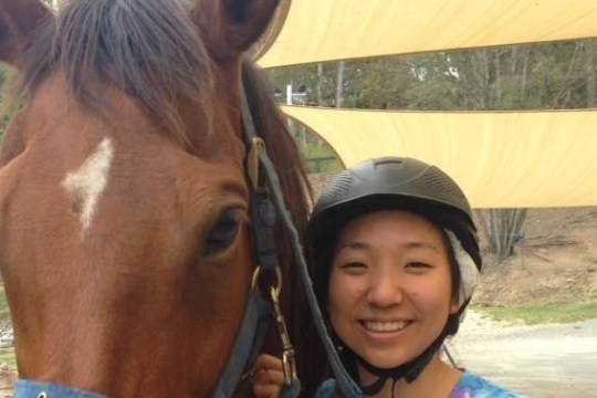 a person standing next to a horse