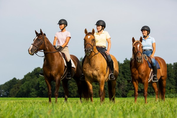 Calm Confident Rider