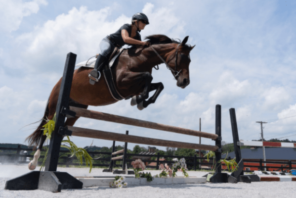 Effortless Rider Jumping Course