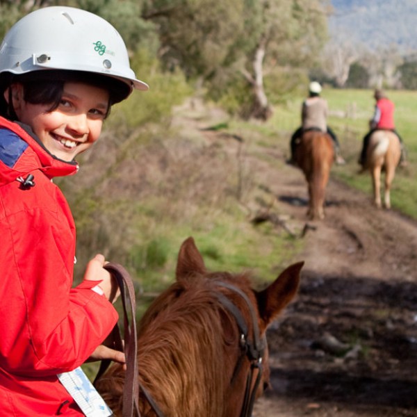 a person riding a horse