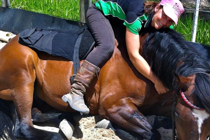 a person sitting on a horse