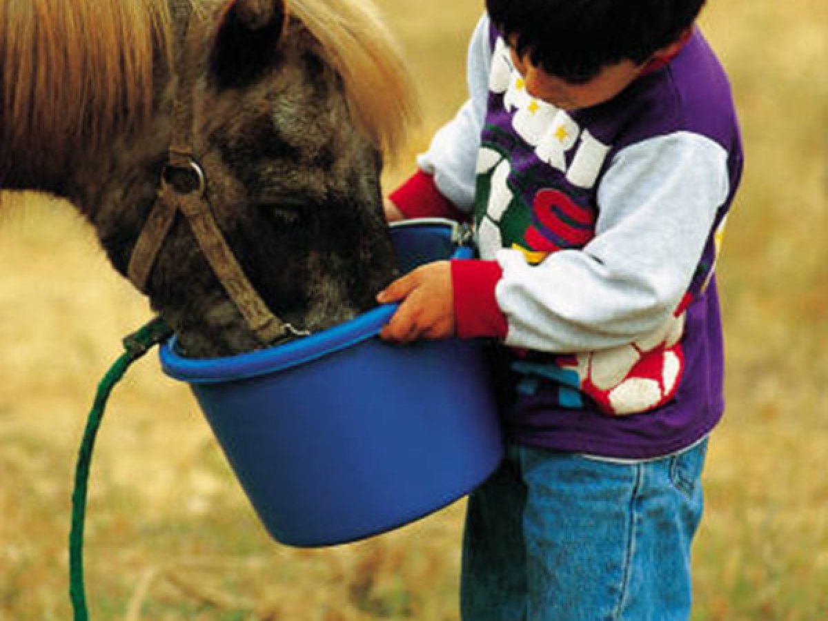 a little boy standing next to a horse