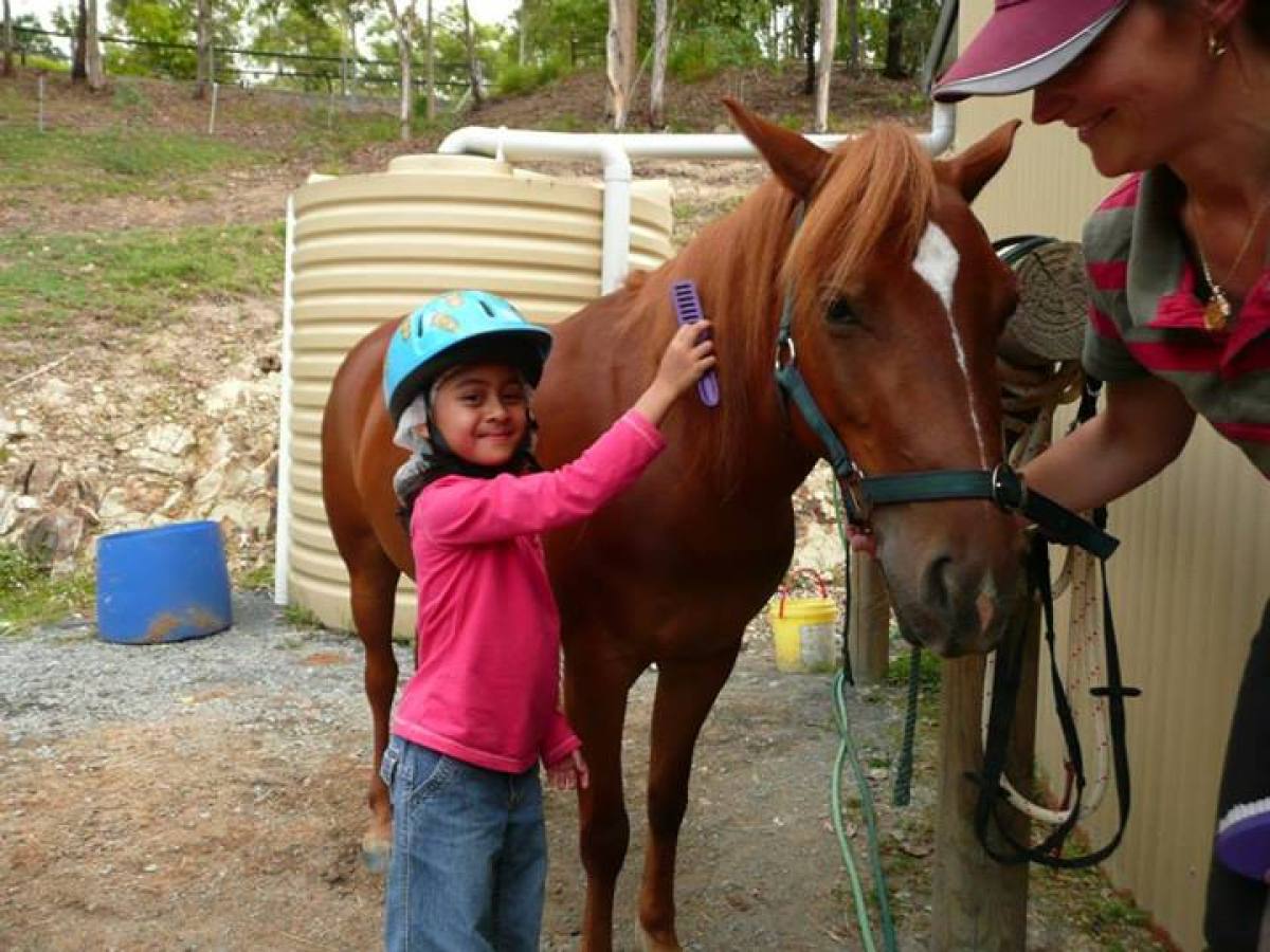 a person standing in front of a horse