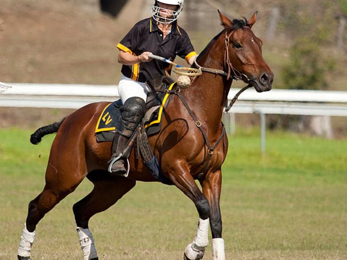 a man riding a horse