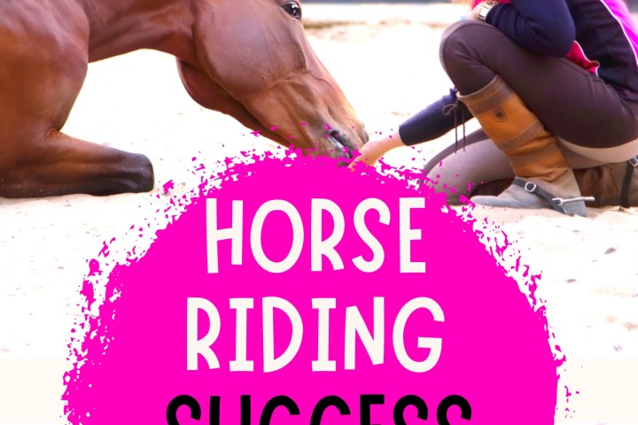 Person kneeling with a horse in an outdoor setting, text reads 'Horse Riding Success for Teens and Adults'.