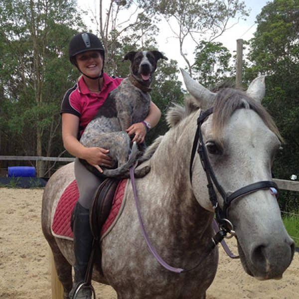 a person riding a horse