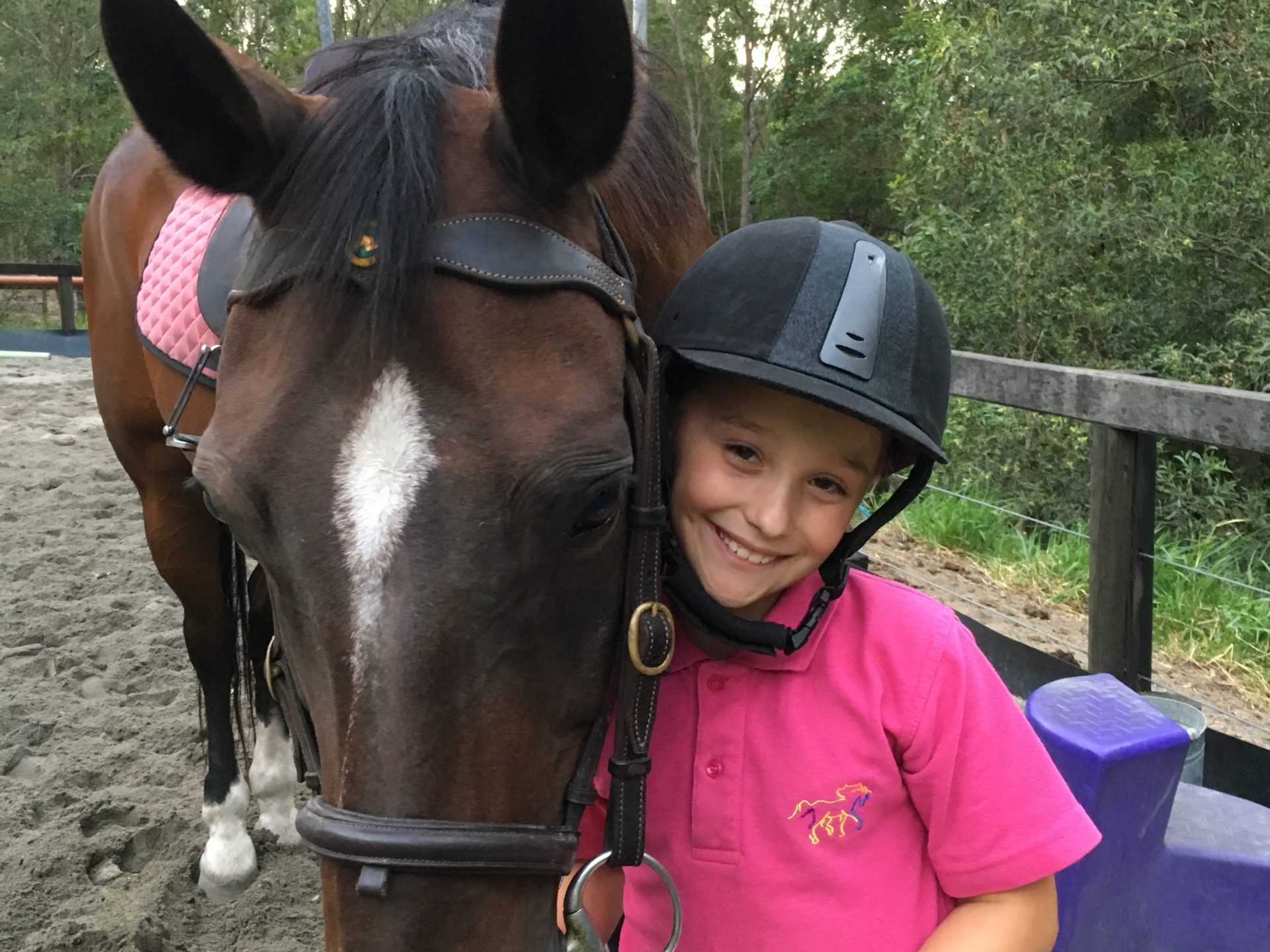 a person petting a horse