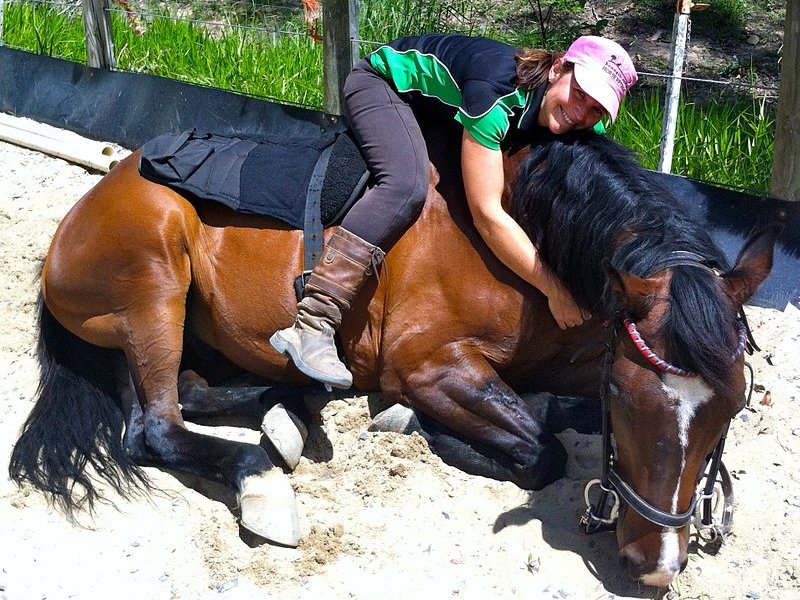 a person sitting on a horse