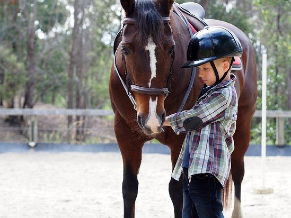 a person riding on the back of a brown horse