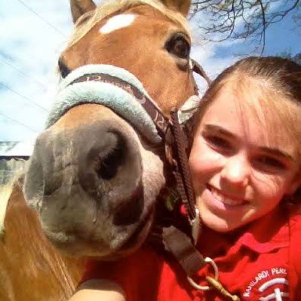 a close up of a girl petting a horse