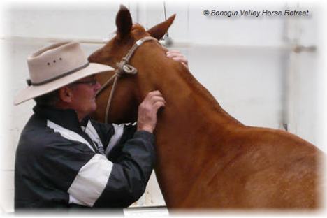 man treating horse