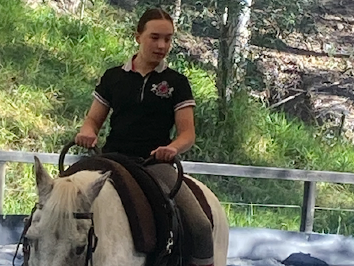 Person riding a white horse in an outdoor setting with greenery.
