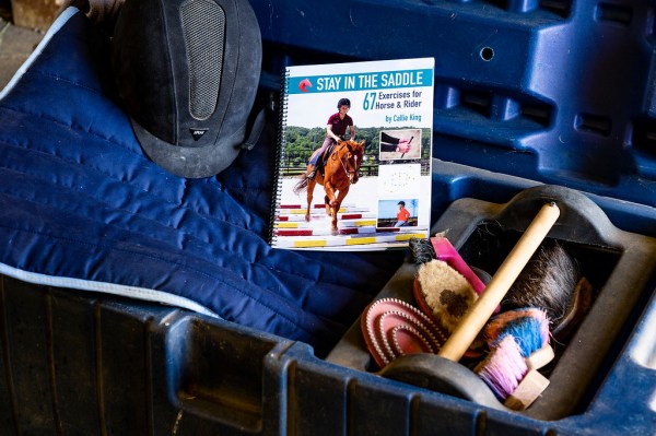 Stay In The Saddle